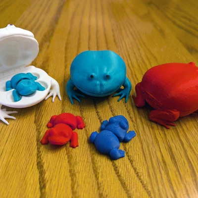 Flexi Frog Fidget trong Con Cóc (Flexi Frog Fidget in a Toad)