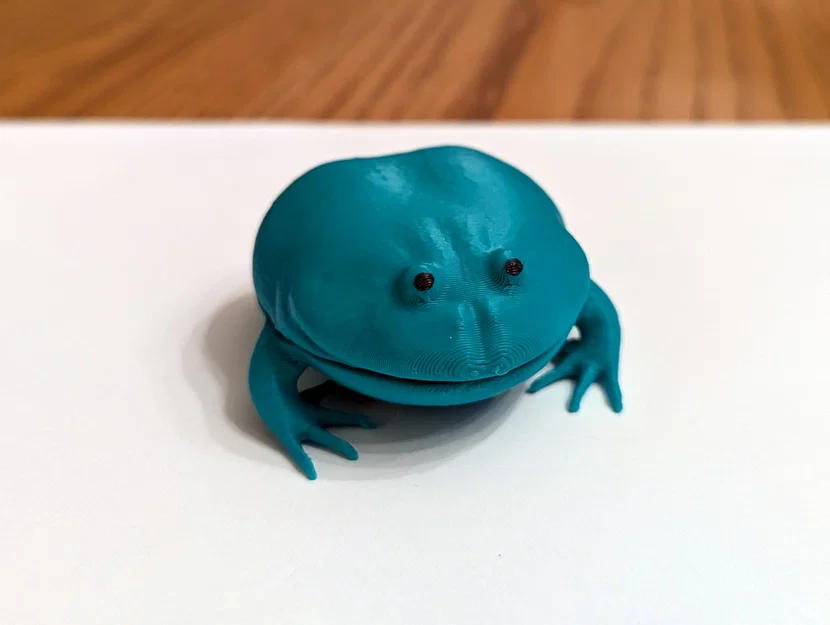 Flexi Frog Fidget trong Con Cóc (Flexi Frog Fidget in a Toad) - Image 2