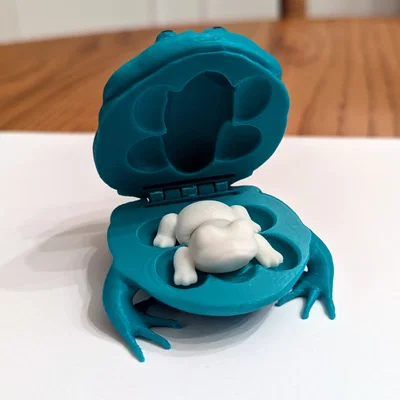 Flexi Frog Fidget trong Con Cóc (Flexi Frog Fidget in a Toad)