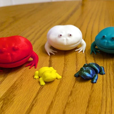Flexi Frog Fidget trong Con Cóc (Flexi Frog Fidget in a Toad)