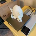 Hộp Đựng Đồ Lặt Vặt Hình Ếch Bản Lề (3) Kích Cỡ - Thumbnail 9