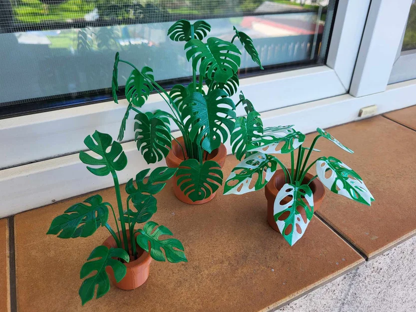 Print-a-plant - Cây Monstera in được (printable Monstera plant) - Image 1