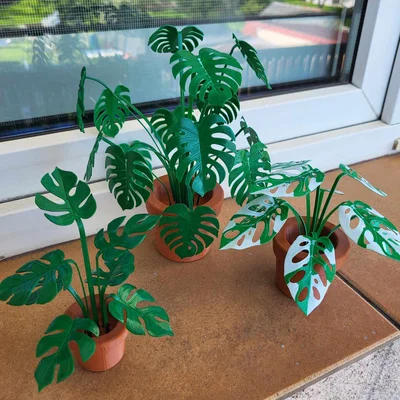 Print-a-plant - Cây Monstera in được (printable Monstera plant)