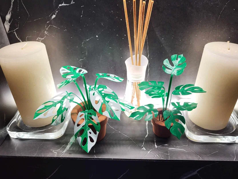 Print-a-plant - Cây Monstera in được (printable Monstera plant) - Image 2