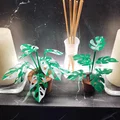 Print-a-plant - Cây Monstera in được (printable Monstera plant) - Thumbnail 2