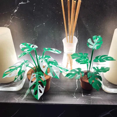 Print-a-plant - Cây Monstera in được (printable Monstera plant)