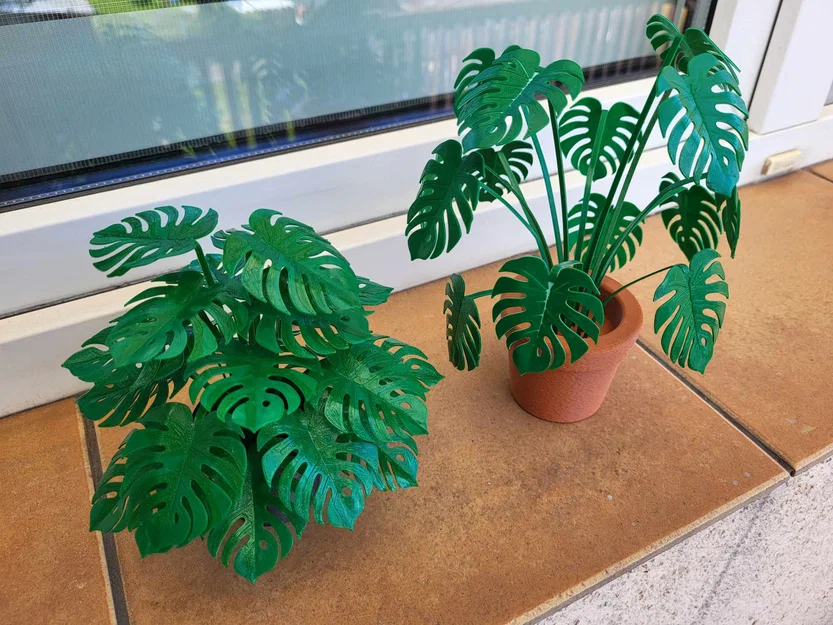 Print-a-plant - Cây Monstera in được (printable Monstera plant) - Image 3
