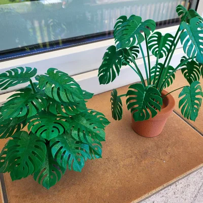 Print-a-plant - Cây Monstera in được (printable Monstera plant)