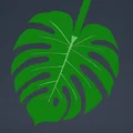 Print-a-plant - Cây Monstera in được (printable Monstera plant) - Thumbnail 4