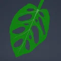 Print-a-plant - Cây Monstera in được (printable Monstera plant) - Thumbnail 6