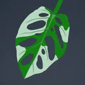 Print-a-plant - Cây Monstera in được (printable Monstera plant) - Thumbnail 7
