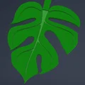 Print-a-plant - Cây Monstera in được (printable Monstera plant) - Thumbnail 8