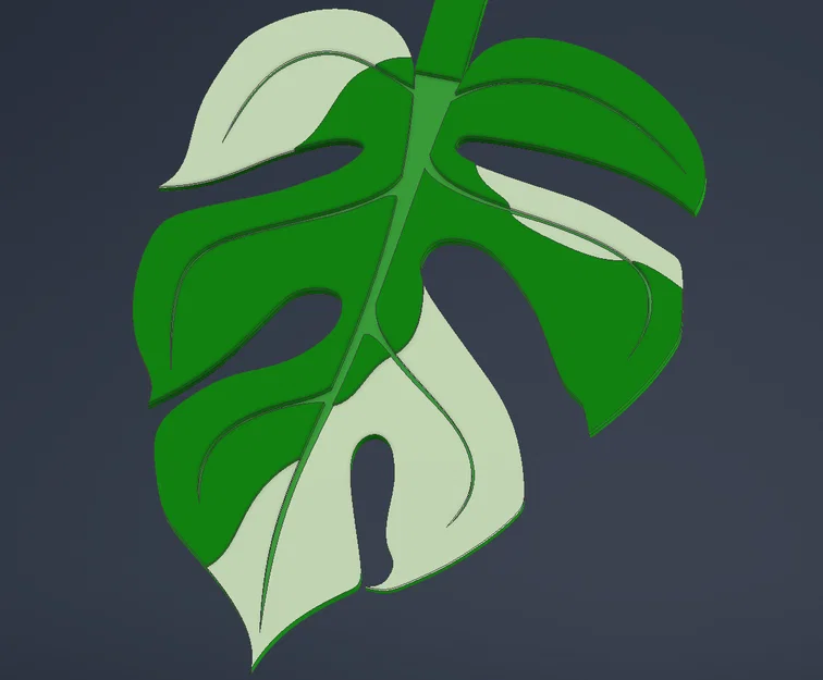 Print-a-plant - Cây Monstera in được (printable Monstera plant) - Image 9