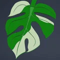 Print-a-plant - Cây Monstera in được (printable Monstera plant) - Thumbnail 9