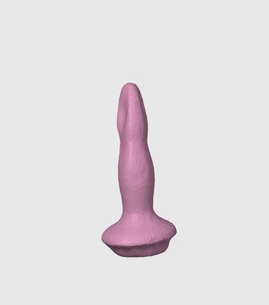 DILDO DICK - Image 2