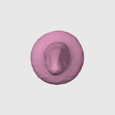 DILDO DICK