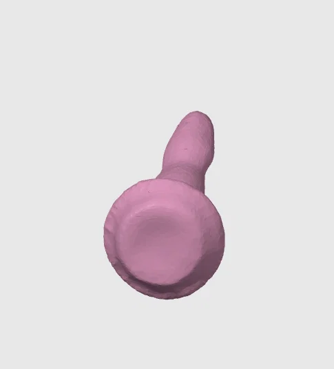 DILDO DICK - Image 4