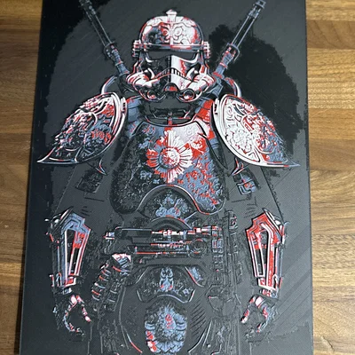 Samurai Storm Trooper – Hue Forge