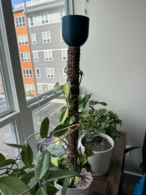 MosSoaker - Đầu nhỏ giọt nước cho trụ rêu Sphagnum (Moss Pole) - Image 1