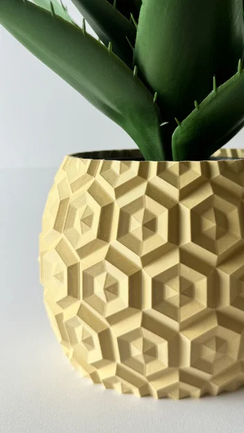 Planter Hexa Harmony – Chậu cây họa tiết lục giác - Image 1