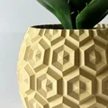 Planter Hexa Harmony – Chậu cây họa tiết lục giác - Thumbnail 1