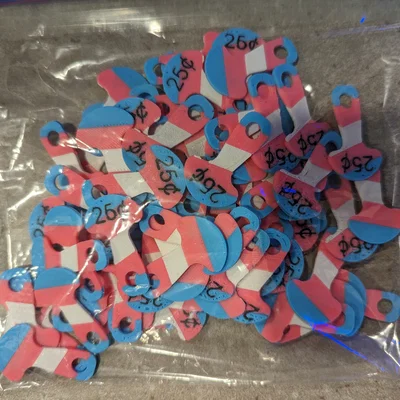 Chìa khóa xe đẩy tháo rời Trans Pride theo đồng 25 cent/1 dollar (loonie) Canada