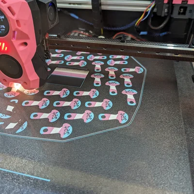 Chìa khóa xe đẩy tháo rời Trans Pride theo đồng 25 cent/1 dollar (loonie) Canada