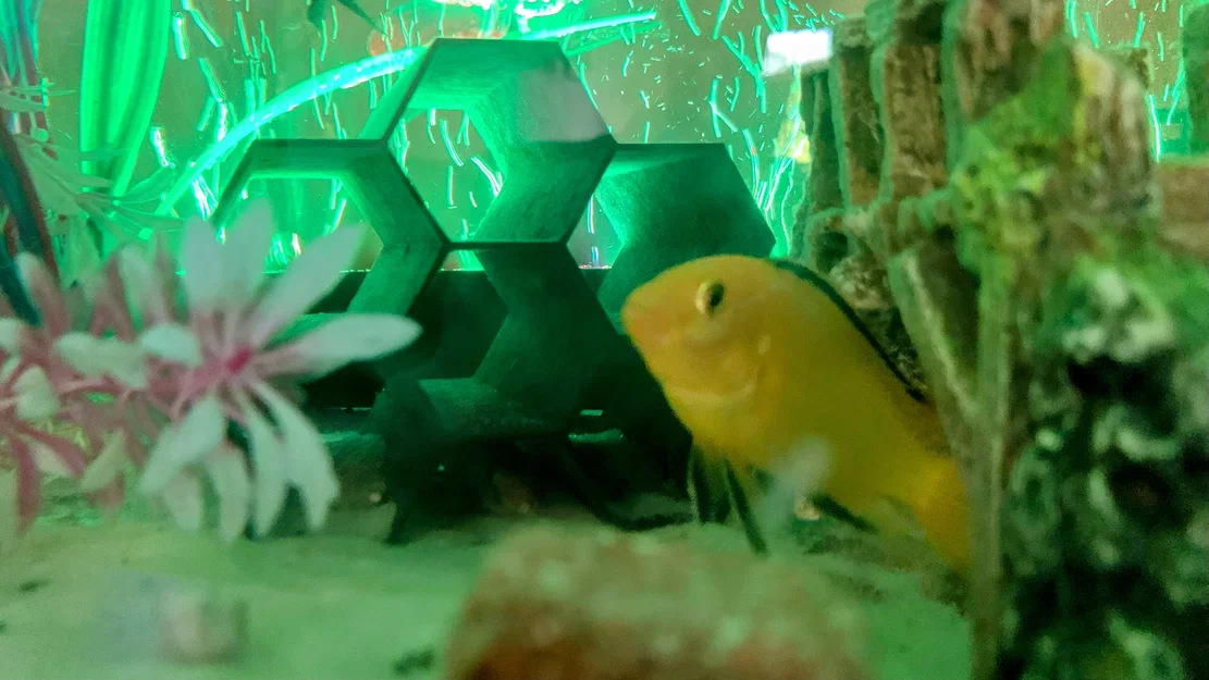 Ống/Hang Trang Trí Bể Cá Honeycomb - Image 1