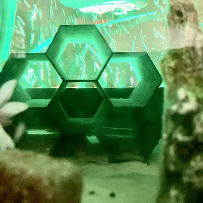 Ống/Hang Trang Trí Bể Cá Honeycomb