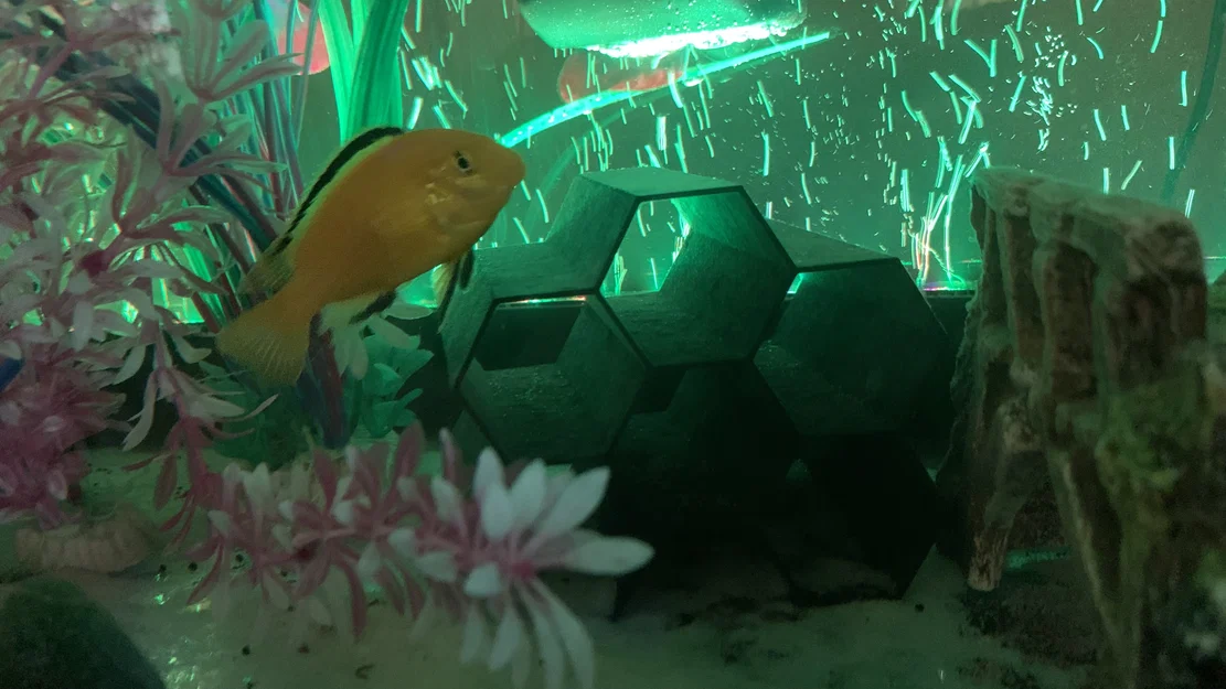 Ống/Hang Trang Trí Bể Cá Honeycomb - Image 3