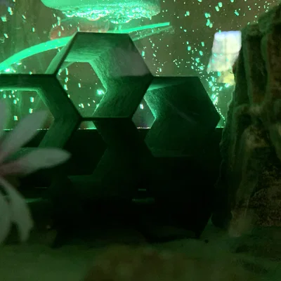 Ống/Hang Trang Trí Bể Cá Honeycomb