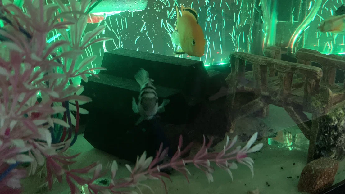 Ống/Hang Trang Trí Bể Cá Honeycomb - Image 5