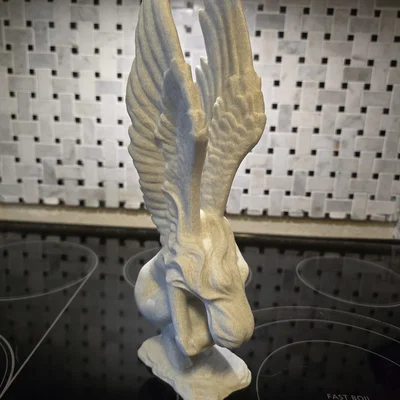 Thiên Thần Đau Buồn (Grieving Angel)