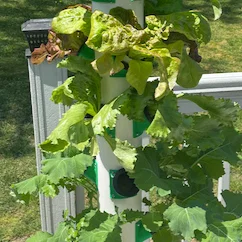 Tháp Aeroponic/Hydroponic Tùy Biến (Customizable Aeroponic/Hydroponic Tower)