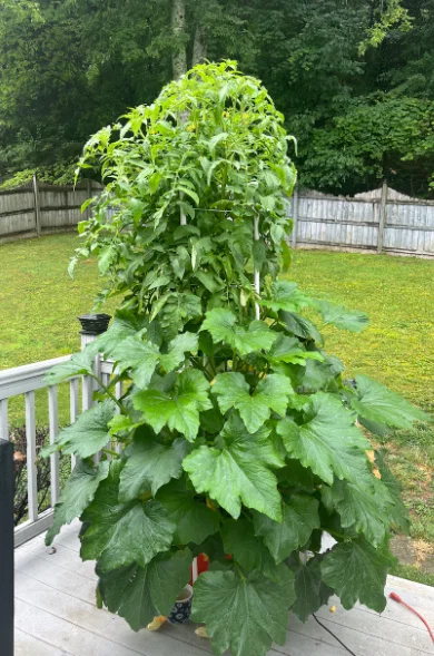 Tháp Aeroponic/Hydroponic Tùy Biến (Customizable Aeroponic/Hydroponic Tower) - Image 2