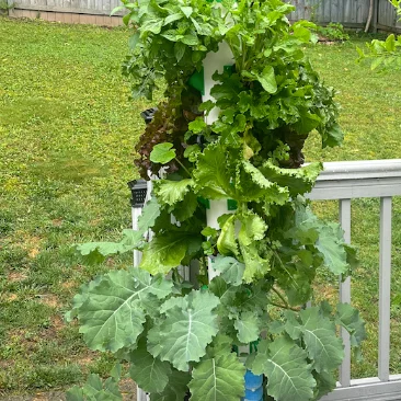 Tháp Aeroponic/Hydroponic Tùy Biến (Customizable Aeroponic/Hydroponic Tower)