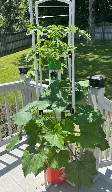 Tháp Aeroponic/Hydroponic Tùy Biến (Customizable Aeroponic/Hydroponic Tower) - Image 4