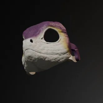 Mặt nạ Avali (Avali Mask)