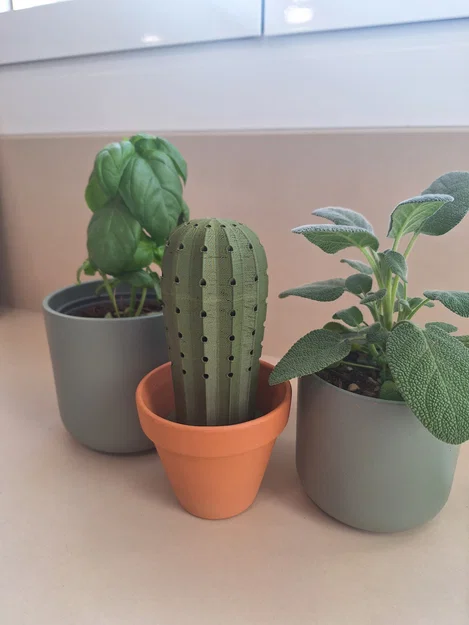 Mô hình 3D Cây xương rồng cắm tăm độc đáo cho căn bếp - Image 1