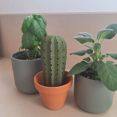 Mô hình 3D Cây xương rồng cắm tăm độc đáo cho căn bếp