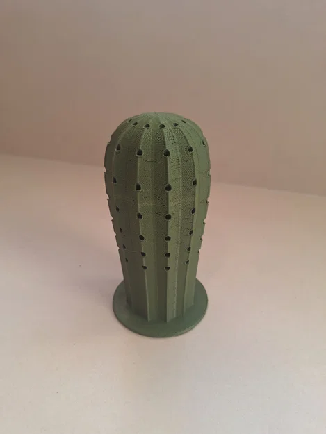 Mô hình 3D Cây xương rồng cắm tăm độc đáo cho căn bếp - Image 9