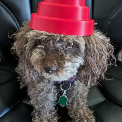 Mô hình nón năng lượng DEVO (Energy Dome) in 3D cho người và thú cưng