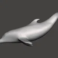 Mô hình chú cá heo (Dolphin) 3D tinh tế trang trí đẹp mắt - Thumbnail 1