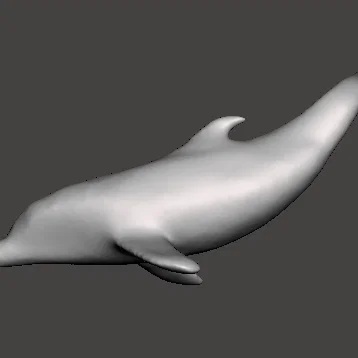 Mô hình chú cá heo (Dolphin) 3D tinh tế trang trí đẹp mắt