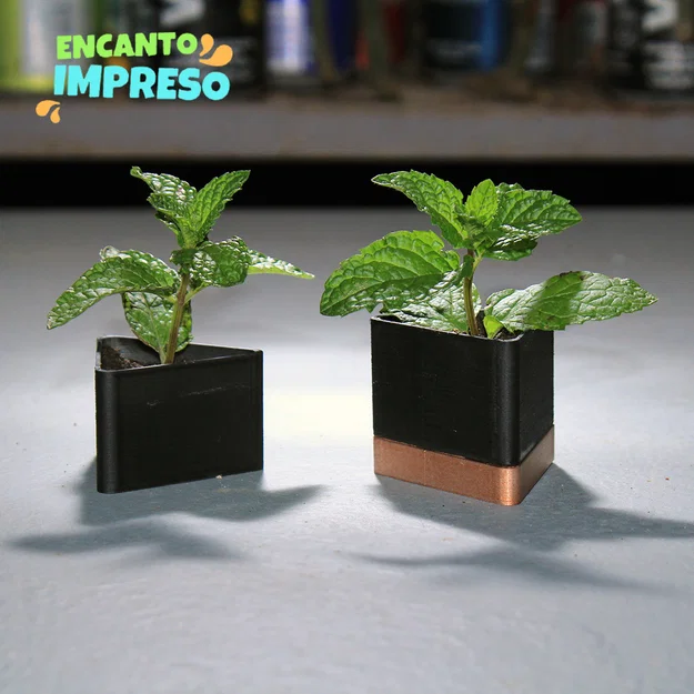 Maceta triangular – Chậu tam giác có khoang chứa nước - Image 1