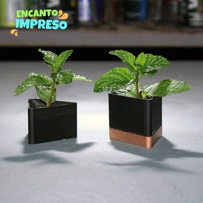 Maceta triangular – Chậu tam giác có khoang chứa nước