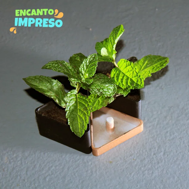 Maceta triangular – Chậu tam giác có khoang chứa nước - Image 3