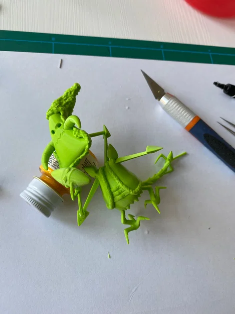 Tomislaw Apoloniusz Curus Bachleda Farrell - Image 4