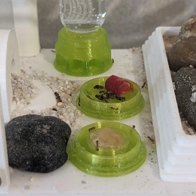 Khay Cho Kiến Ăn (Ant Feeder)