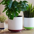 Modern Planter – Chậu trồng cây hiện đại phong cách hygge - Thumbnail 1